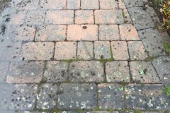 IMG_0459